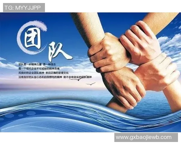 杭州排球队速度之美大满贯点评展现竞技魅力与团队协作